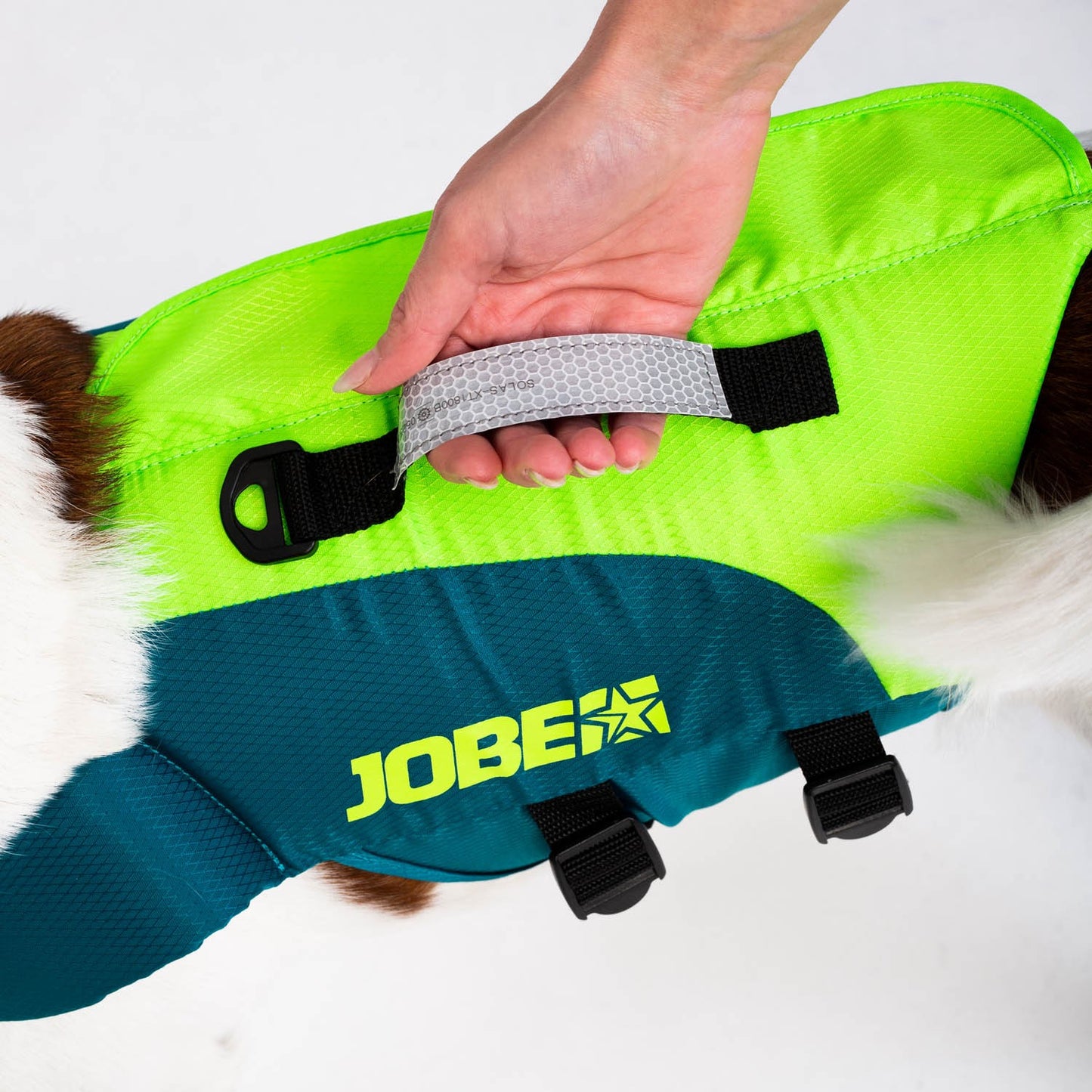 Jobe Pet Vest (Lime/Teal)